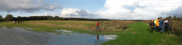 pano friesland_150